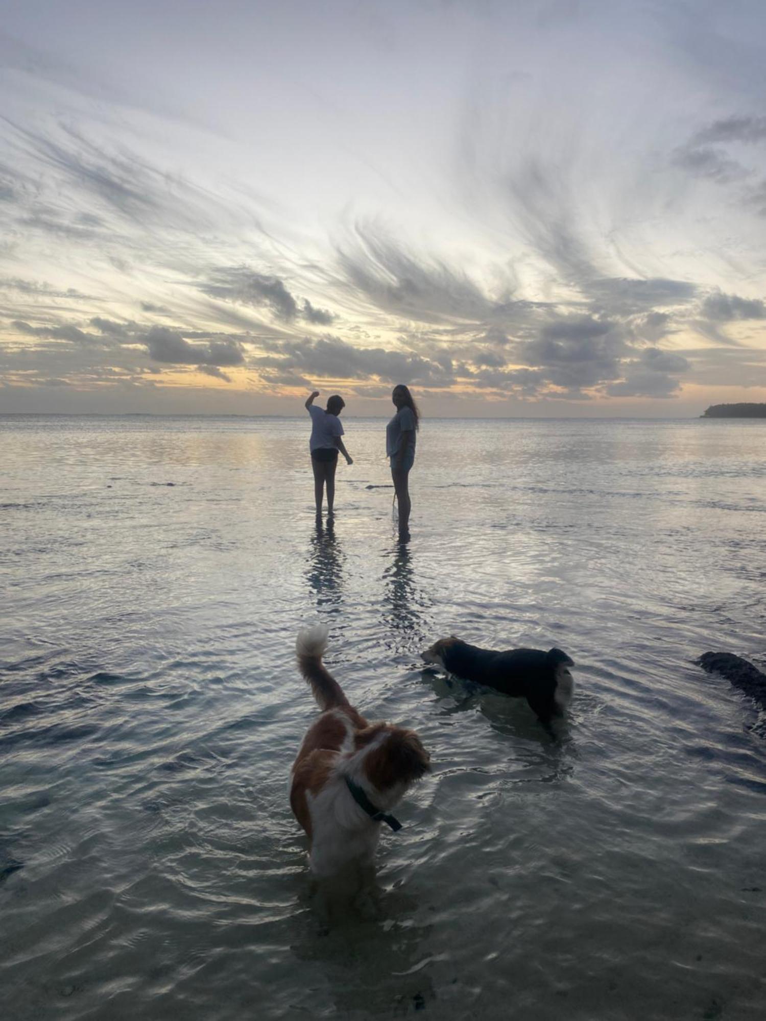 Vacation Beach House South Of Mauritius - Riambel Esterno foto
